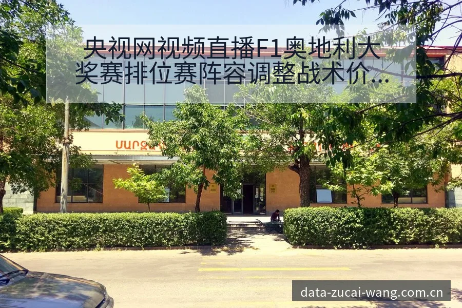 央视网视频直播F1奥地利大奖赛排位赛阵容调整战术价值深度 - 足彩网